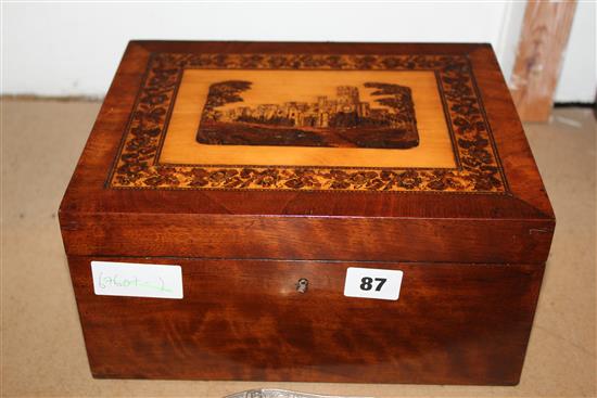 A Tunbridge Ware mahogany box, view of Eridge Castle